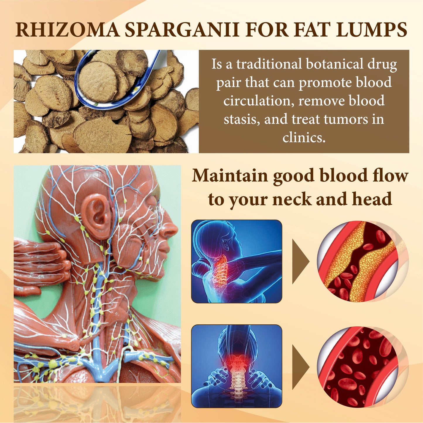 Bee Venom FatLumps LymphaticRecovery Cream