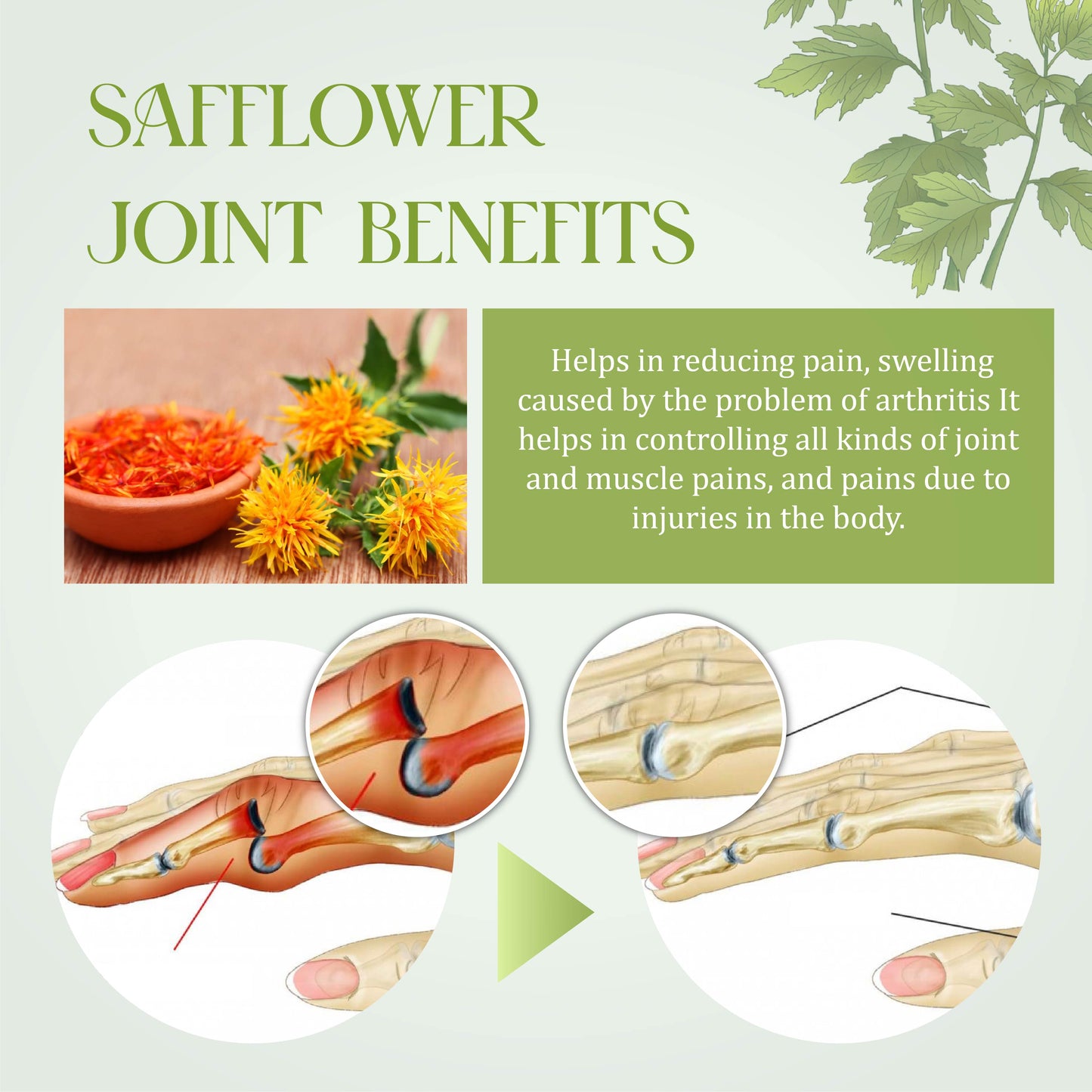GentleCare Mugwort JointEase Cream