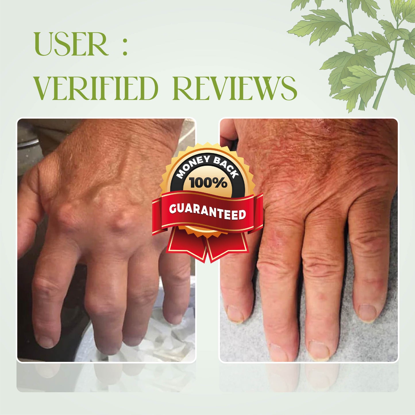 GentleCare Mugwort JointEase Cream