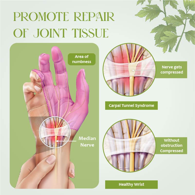 GentleCare Mugwort JointEase Cream