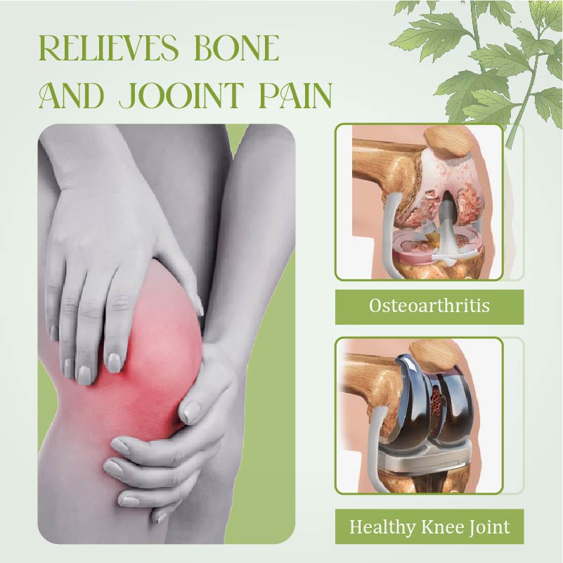 GentleCare Mugwort JointEase Cream