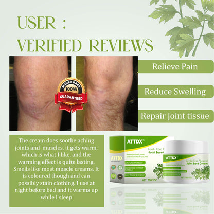 GentleCare Mugwort JointEase Cream