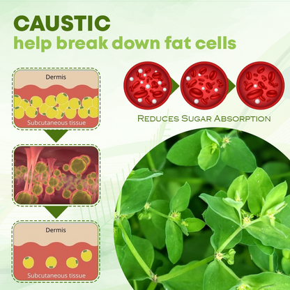 SlimShape SugarFat Control Herbal Patch