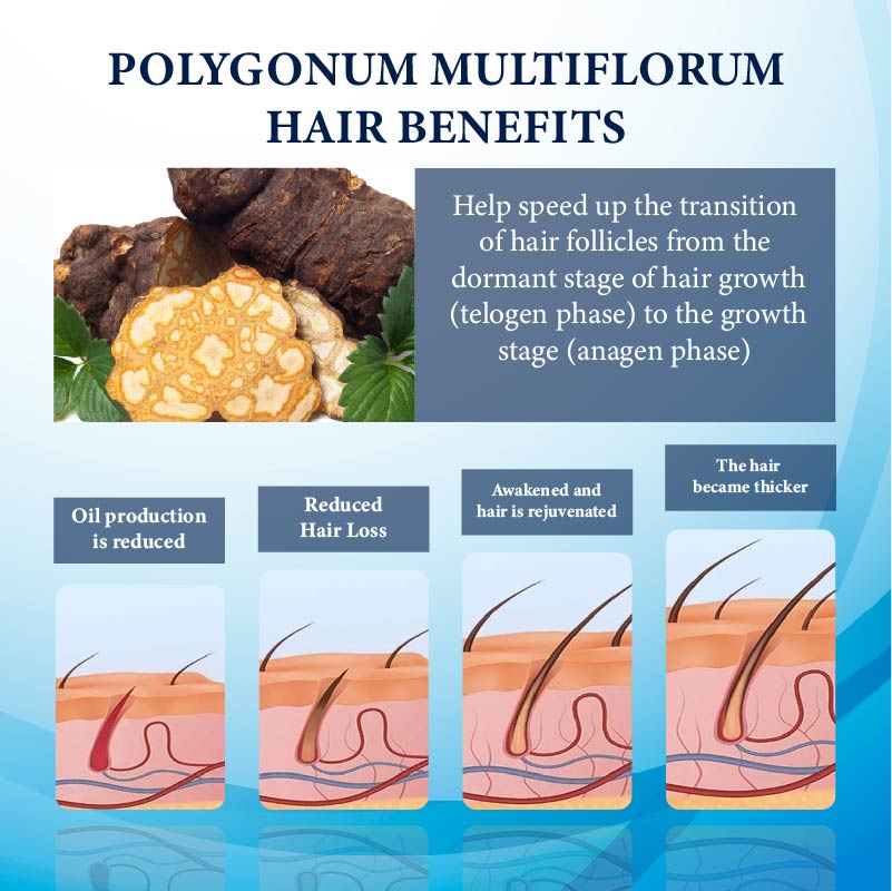 ThickBoost Herbal HairGrowth Serum for Men